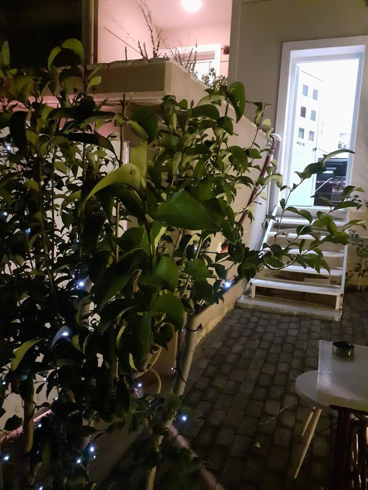 Exostis Villa Nafplio Ngoại thất bức ảnh